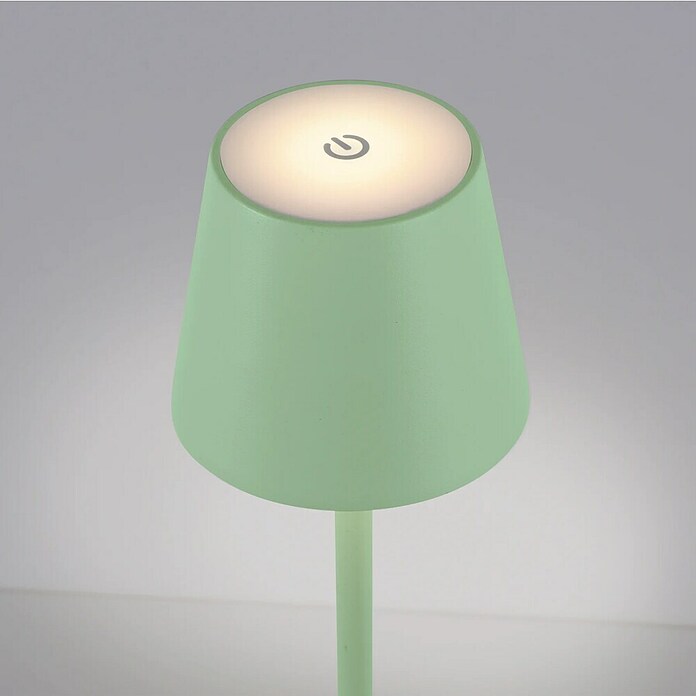 Just Light Lámpara de sobremesa a batería Euria (3 W, L x An x Al: 11 x 11 x 37 cm, Blanco cálido, Verde) | BAUHAUS