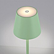 Just Light Lámpara de sobremesa a batería Euria (3 W, L x An x Al: 11 x 11 x 37 cm, Blanco cálido, Verde) | BAUHAUS
