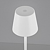 Just Light Lámpara de sobremesa a batería Euria (3 W, L x An x Al: 11 x 11 x 37 cm, Blanco cálido, Blanco) | BAUHAUS