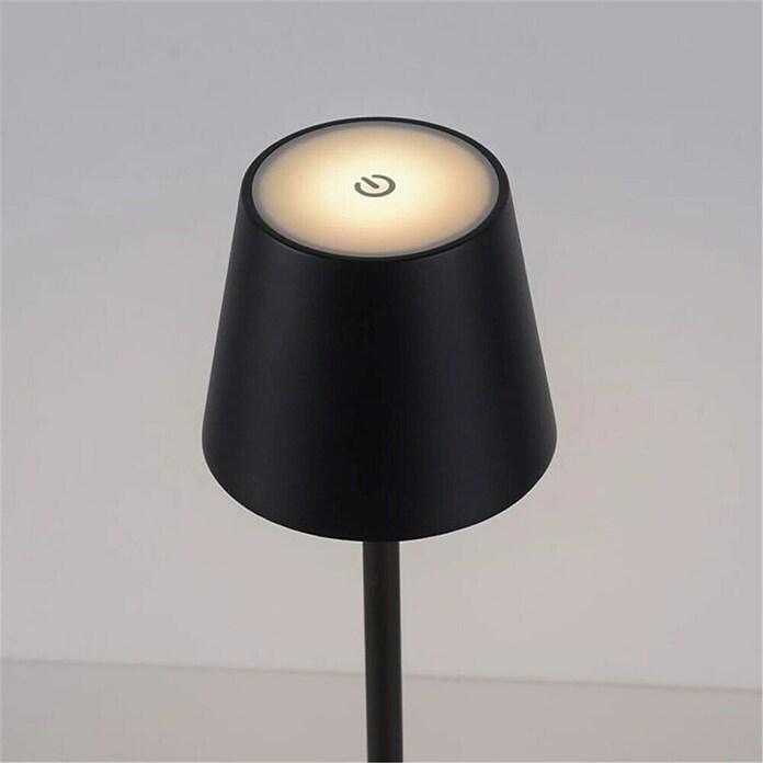 Just Light Lámpara de sobremesa a batería Euria (3 W, L x An x Al: 11 x 11 x 37 cm, Blanco cálido, Negro) | BAUHAUS
