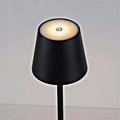 Just Light Lámpara de sobremesa a batería Euria (3 W, L x An x Al: 11 x 11 x 37 cm, Blanco cálido, Negro) | BAUHAUS