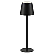 Just Light Lámpara de sobremesa a batería Euria (3 W, L x An x Al: 11 x 11 x 37 cm, Blanco cálido, Negro) | BAUHAUS