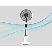 Purline Misty Ventilador de pie 4 (Negro, 40 cm, 125 cm) | BAUHAUS