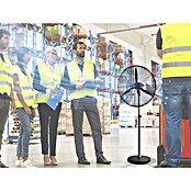 Purline Venty Ventilador de pie Metablast (Negro, 75 cm, 190 cm) | BAUHAUS