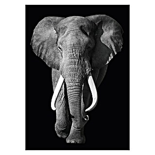Decoratief paneel (Elephant, b x h: 100 x 140 cm)