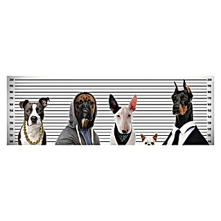 Decoratief paneel (Most Wanted Dogs, b x h: 30 x 90 cm)