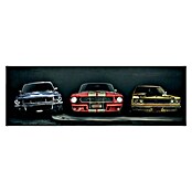 Decoratief paneel (Three Muscle Cars, b x h: 30 x 90 cm) | BAUHAUS