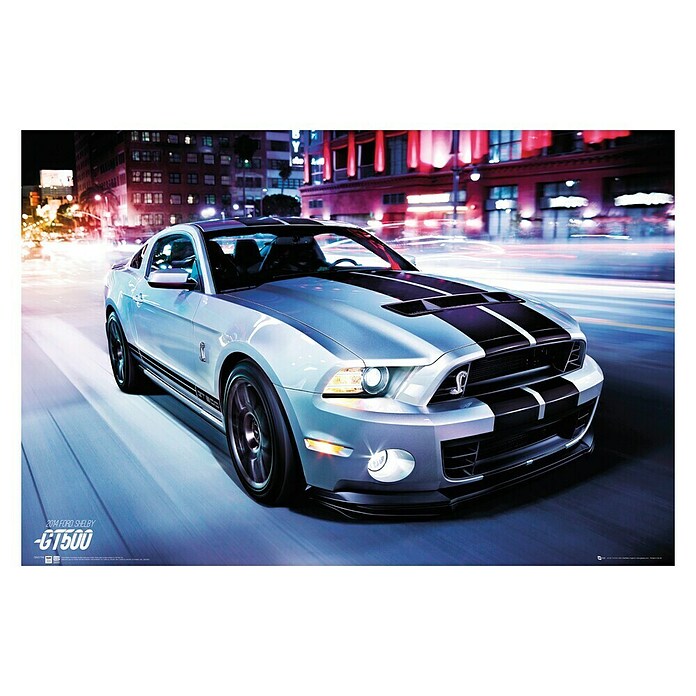 Decoratief paneel (Ford Shelby GT500-14, b x h: 60 x 90 cm) | BAUHAUS