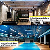 Müller-Licht LED-Stripes Power (25 m, Tageslichtweiß, 6 500 K, 25 000 lm, 290 W) | BAUHAUS