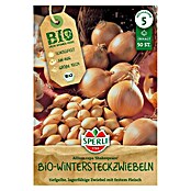 Sperli Steckzwiebeln Bio Shakespeare (Botanische Bezeichnung: Allium cepa 'Shakespeare', 50 Stk.) | BAUHAUS