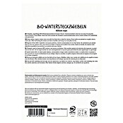 Sperli Steckzwiebeln Bio Shakespeare (Botanische Bezeichnung: Allium cepa 'Shakespeare', 50 Stk.) | BAUHAUS