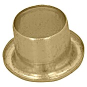 Häfele Soporte para estantes