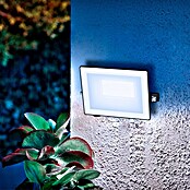 Philips Proyector LED Lois Flood (10 W, 5.000 K, L x An x Al: 2 x 13 x 11 cm, IP65) | BAUHAUS