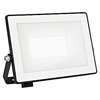 Philips Proyector LED Lois Flood (20 W, Negro, L x An x Al: 2 x 13 x 11 cm, Blanco frío)