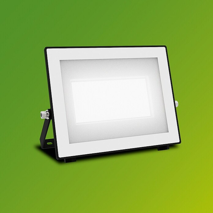 Philips Proyector LED Lois Flood (50 W, 5.000 K, IP65) | BAUHAUS