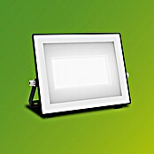 Philips Proyector LED Lois Flood (50 W, 5.000 K, IP65) | BAUHAUS