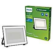 Philips Proyector LED Lois Flood (50 W, 5.000 K, IP65) | BAUHAUS