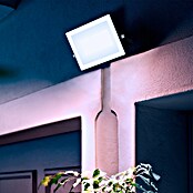 Philips Proyector LED Lois Flood (50 W, 5.000 K, IP65) | BAUHAUS