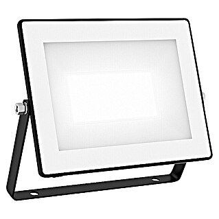 Philips Proyector LED Lois Flood (50 W, Negro, L x An x Al: 3 x 20 x 17 cm)