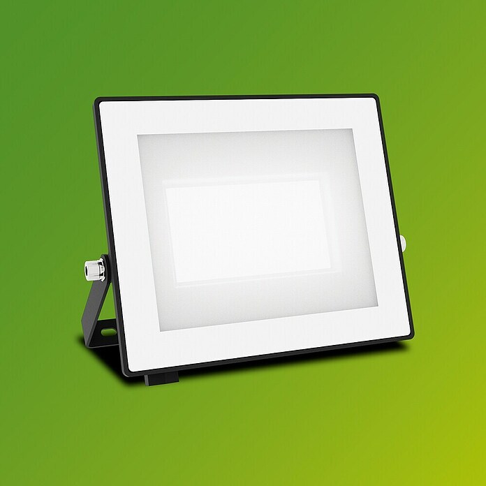 Philips Proyector LED Lois Flood (30 W, L x An x Al: 3 x 16 x 15 cm) | BAUHAUS