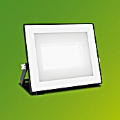 Philips Proyector LED Lois Flood (30 W, L x An x Al: 3 x 16 x 15 cm) | BAUHAUS