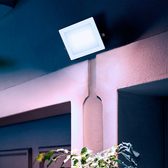Philips Proyector LED Lois Flood (30 W, L x An x Al: 3 x 16 x 15 cm) | BAUHAUS