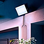 Philips Proyector LED Lois Flood (30 W, L x An x Al: 3 x 16 x 15 cm) | BAUHAUS
