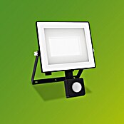 Philips Proyector LED Lois Flood (30 W, 5.000 K, L x An x Al: 6 x 19 x 16 cm, IP65) | BAUHAUS
