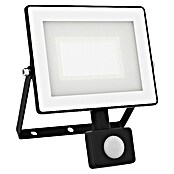 Philips Proyector LED Lois Flood (30 W, 5.000 K, L x An x Al: 6 x 19 x 16 cm, IP65) | BAUHAUS