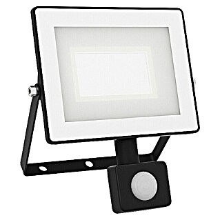 Philips Proyector LED Lois Flood (30 W, 5.000 K, L x An x Al: 6 x 19 x 16 cm, IP65)