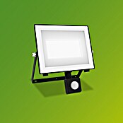 Philips Proyector LED Lois Flood (50 W, 5.000 K, L x An x Al: 6 x 21 x 20 cm, IP65) | BAUHAUS