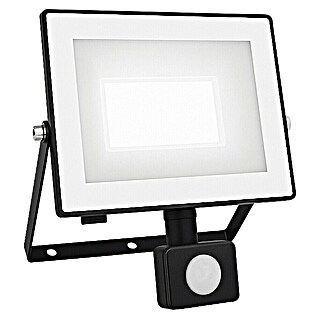 Philips Proyector LED Lois Flood (50 W, 5.000 K, L x An x Al: 6 x 21 x 20 cm, IP65)