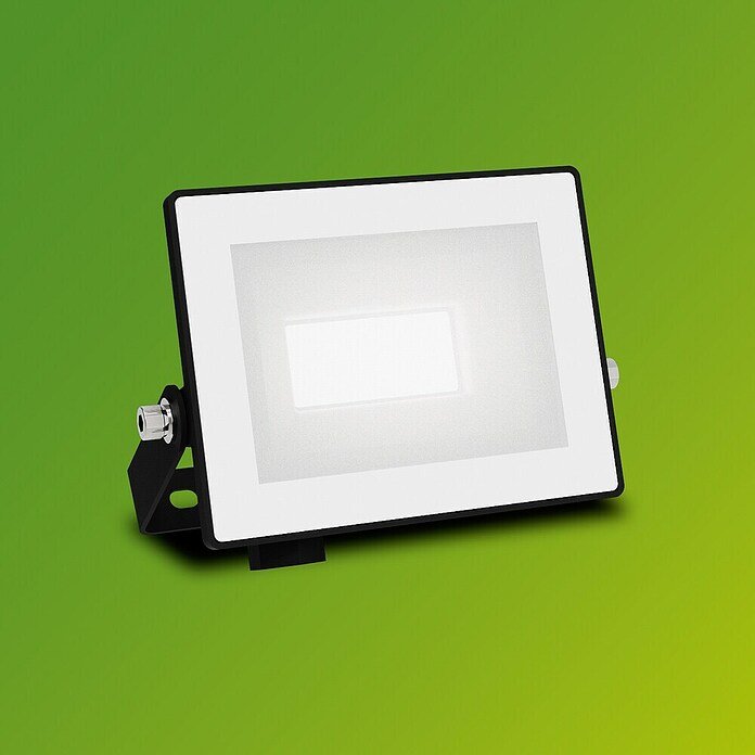Philips Proyector LED Lois Flood (10 W, L x An x Al: 2 x 11 x 9 cm) | BAUHAUS