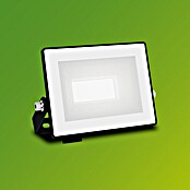 Philips Proyector LED Lois Flood (10 W, L x An x Al: 2 x 11 x 9 cm) | BAUHAUS