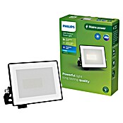 Philips Proyector LED Lois Flood (10 W, L x An x Al: 2 x 11 x 9 cm) | BAUHAUS