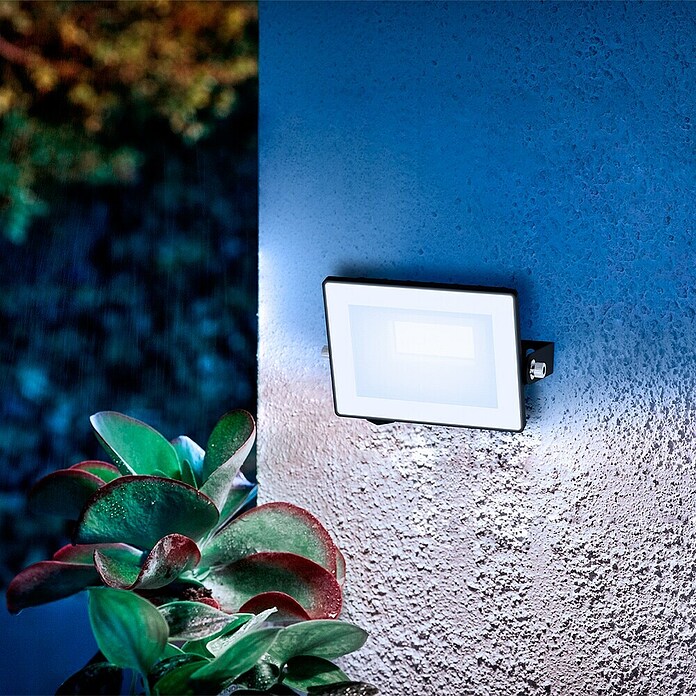 Philips Proyector LED Lois Flood (10 W, L x An x Al: 2 x 11 x 9 cm) | BAUHAUS