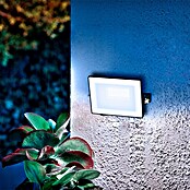 Philips Proyector LED Lois Flood (10 W, L x An x Al: 2 x 11 x 9 cm) | BAUHAUS