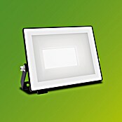 Philips Proyector LED Lois Flood (10 W, 5.000 K, L x An x Al: 2 x 13 x 11 cm, IP65) | BAUHAUS
