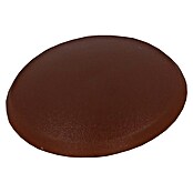 Abdeckkappe (Geeignet für: Schraubenantrieb PZ 2, 32 Stk., Hellbraun) | BAUHAUS