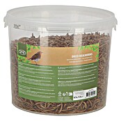 Vogelvoer gedroogde meelwormen (700 g) | BAUHAUS