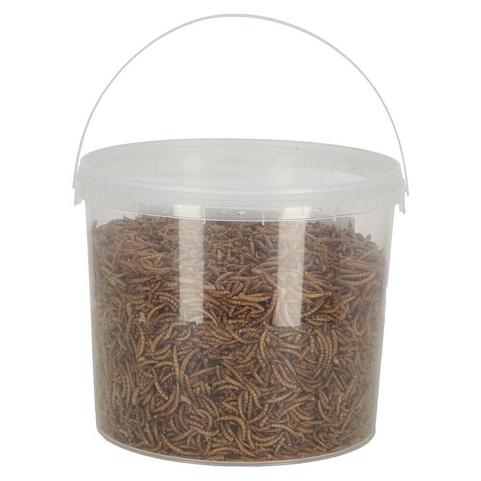 Vogelvoer gedroogde meelwormen (700 g) | BAUHAUS
