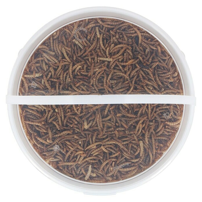 Vogelvoer gedroogde meelwormen (700 g) | BAUHAUS