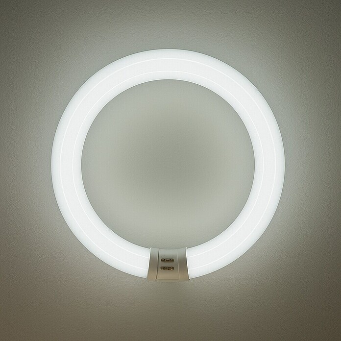Osram Tubo fluorescente (T9, Blanco frío, 40 W, Largo: 40 cm, Clase de eficiencia energética: A)