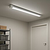 Osram Regleta estanca LED Basic (1 luz, 20 W, Color de luz: Blanco neutro, IP20)