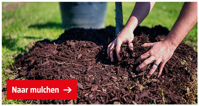 handen-in-berg-mulch-bodembedekkers