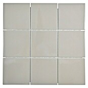 Mosaikfliese Quadrat Uni CQ 140 (29,8 x 29,8 cm, Beige/Braun, Glänzend)