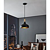 Eglo Lámpara colgante redonda Sabinar (40 W, Ø x Al: 28 x 11 cm, Negro/Marrón, E27) | BAUHAUS