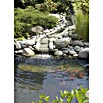 Ubbink PVC-Teichfolie AquaLiner (Stärke: 0,5 mm, L x B: 6 x 4 m)