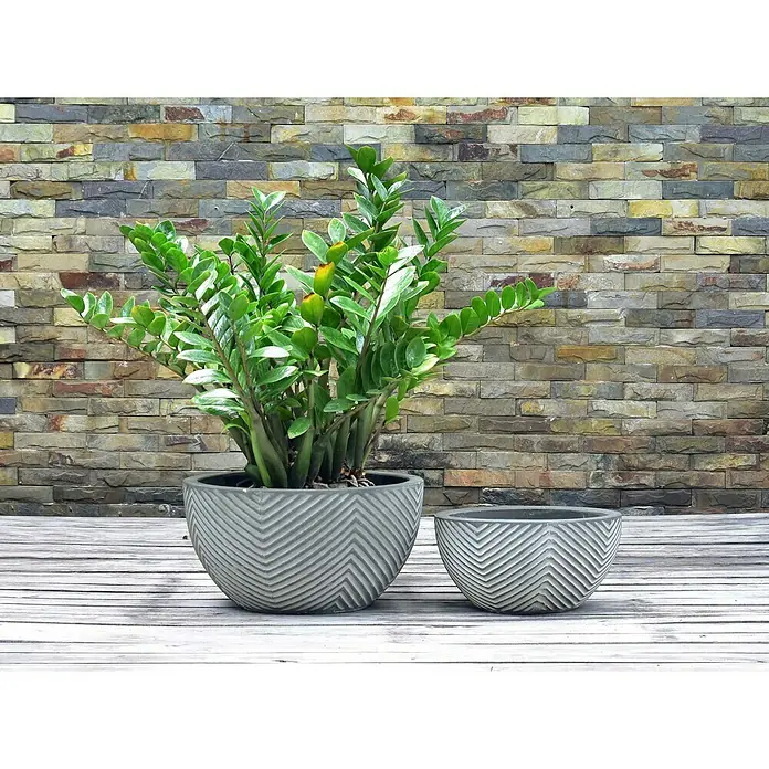 Pflanzschale rund Alessandria - Außenmaß (Ø x H): 36 x 31 cm, Grau - Zimmerpflanze in einem grauen Pflanztopf mit Zickzackmuster, daneben ein kleinerer Topf auf einer Holzoberfläche vor einer Steinwand.