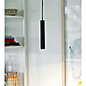 Nordlux Omari Lámpara colgante LED redonda (3,3 W, Ø x Al: 3 x 20 cm, Negro) | BAUHAUS